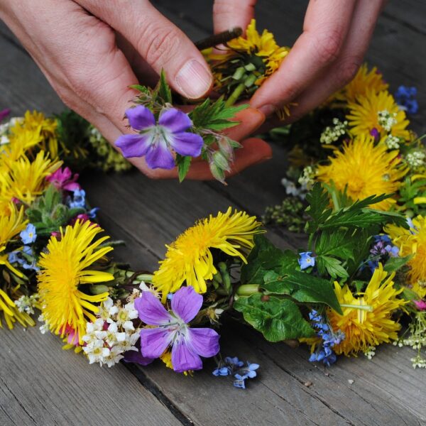 Händer som binder en färgglad midsommarkrans med maskrosor och blå blommor – en somrig tradition på Hotel Skansen.