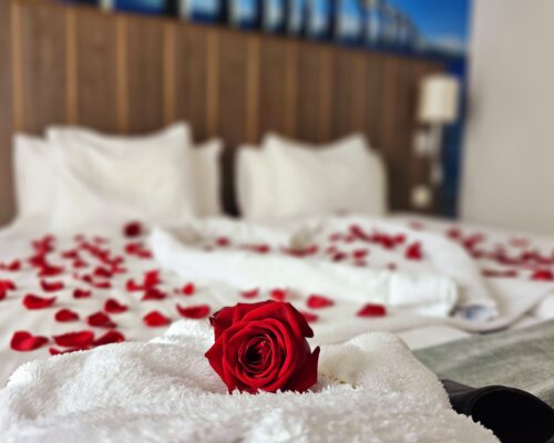 En röd ros vilande på en vit frottéhandduk, med rosenblad strödda över en bädd – en romantisk detalj på Hotel Skansen.